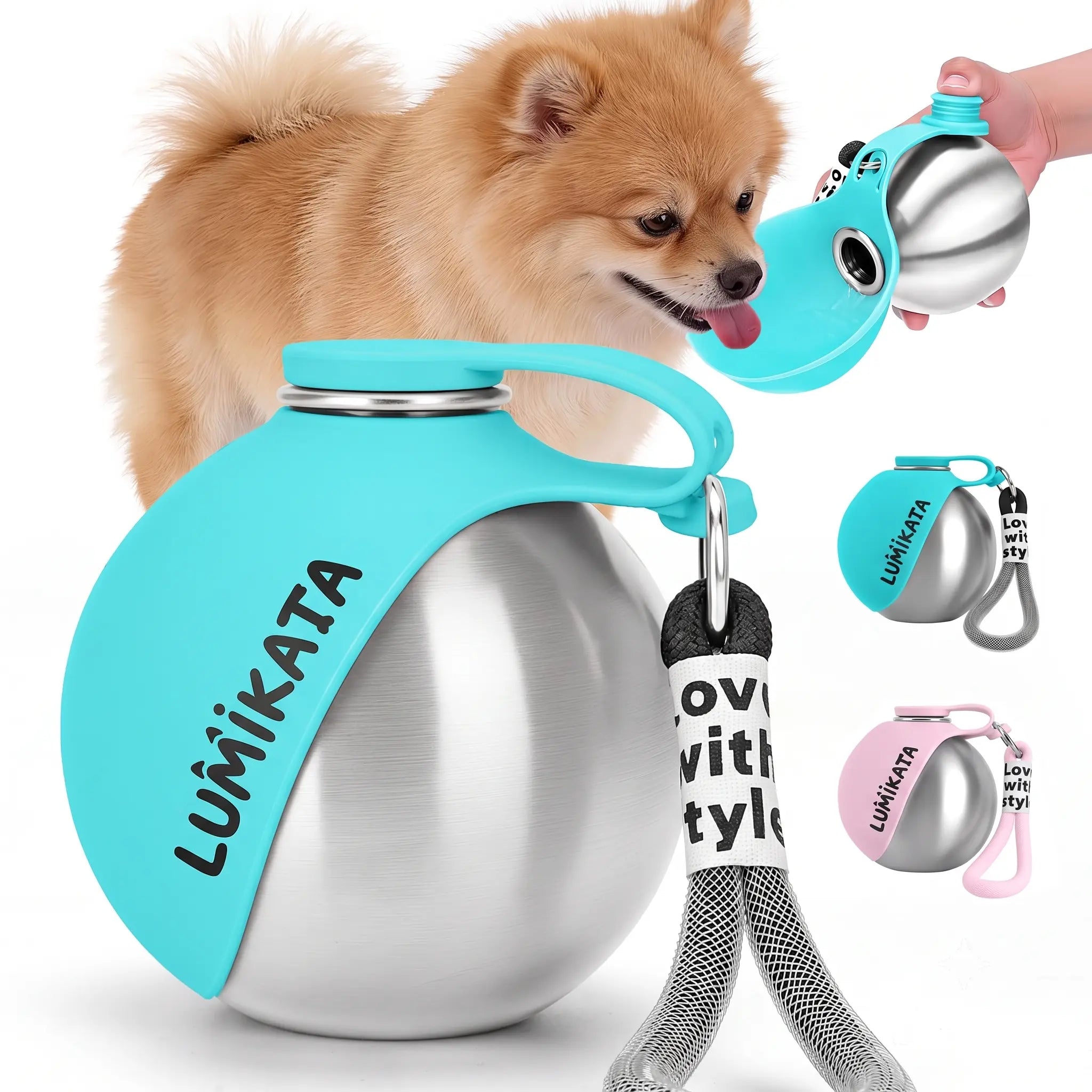 Turquoise stainless dog water bottle with foldable bowl, with leash strap and cap