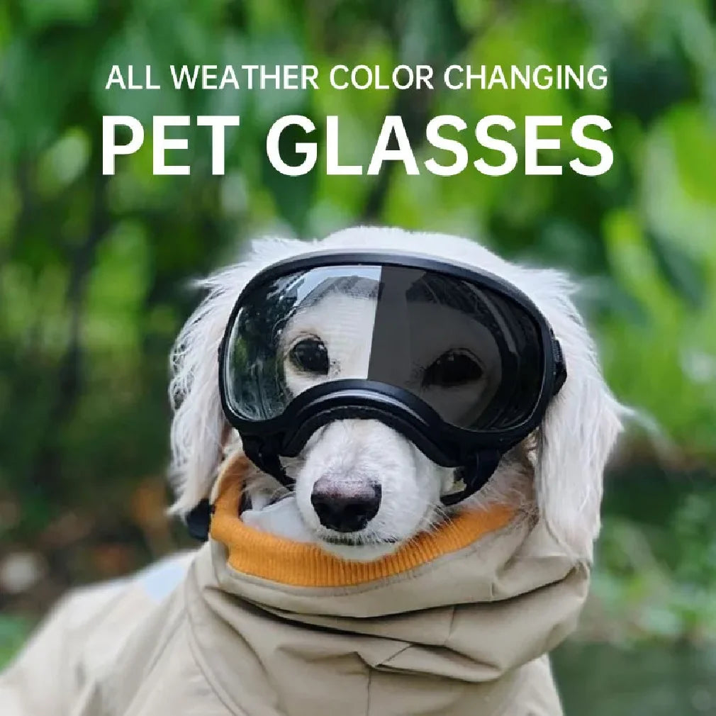 Color-Changing Dog Goggles – UV-Resistant Pet Sunglasses for All Sizes