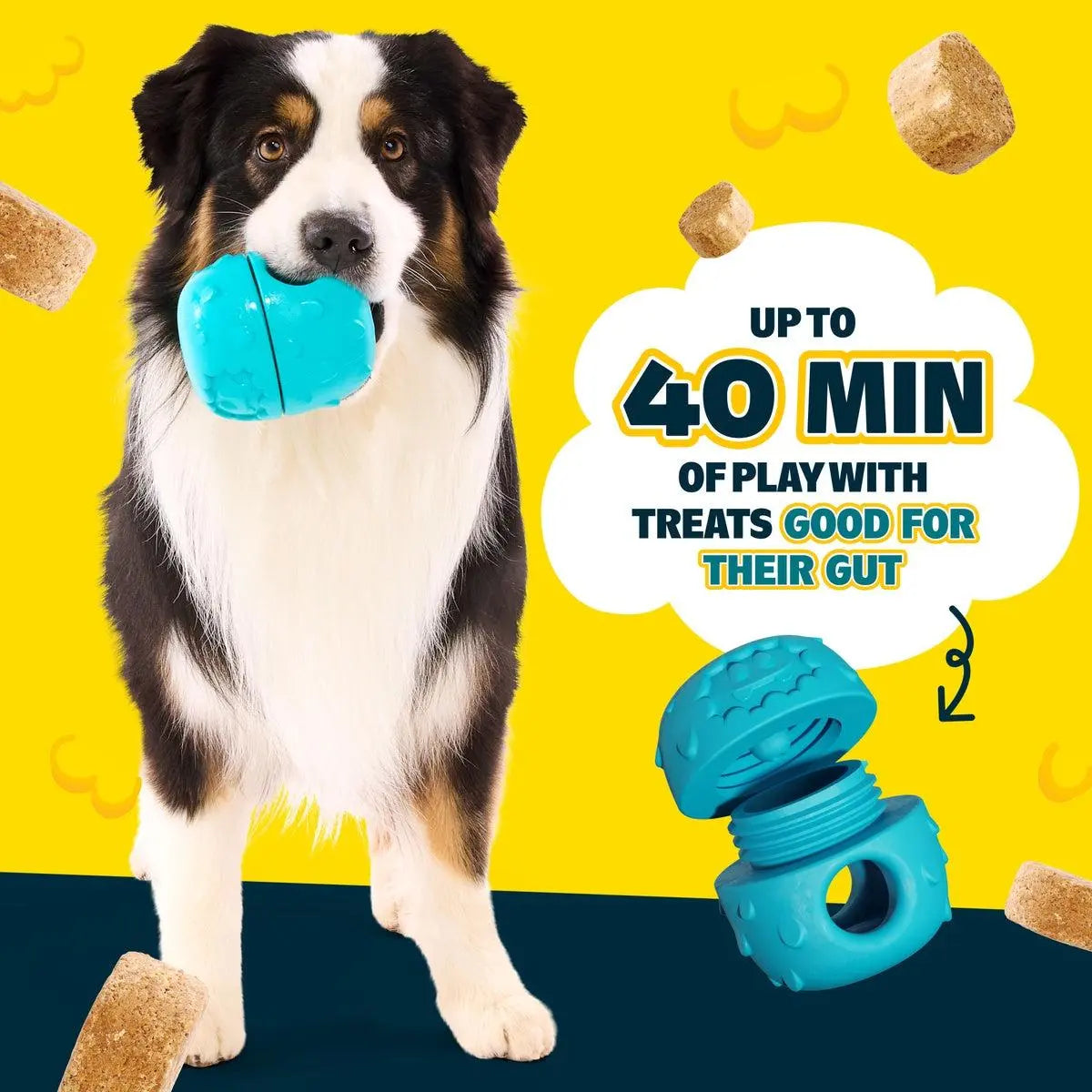 Licksters: Starter Kit (Toy + 2 Treat Packs) (Tiktok)